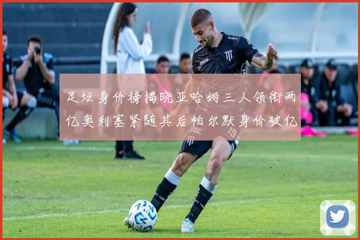 足坛身价榜揭晓亚哈姆三人领衔两亿奥利塞紧随其后帕尔默身价破亿